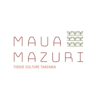 Maua Mazuri