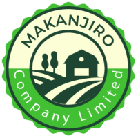 Mechanical Equipment Operators – 2 Posts at Makanjiro Company Limited