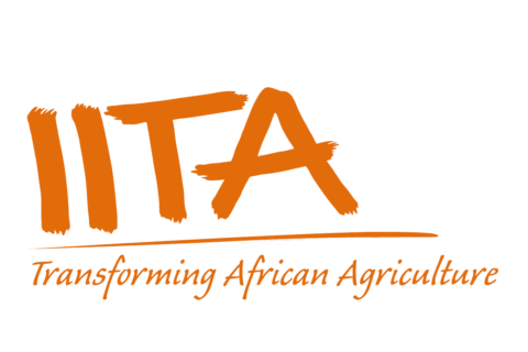 International Institute of Tropical Agriculture (IITA)