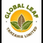 Global Leaf Tanzania Limited (GLT)
