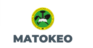 Matokeo Darasa la Nne 2025 NECTA | SFNA Official Results